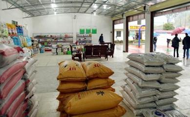 深耕縣域，掘金農(nóng)資 化肥農(nóng)藥種子縣級代理經(jīng)銷商的機(jī)遇與挑戰(zhàn)分析